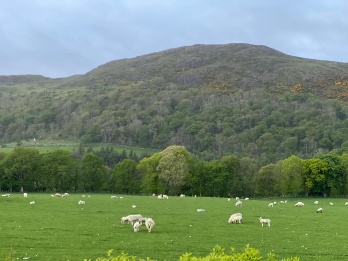 Tig Cottage - A Rural, Quirky, Pet Friendly 2 Bedroom Cottage Near Ballantrae מראה חיצוני תמונה