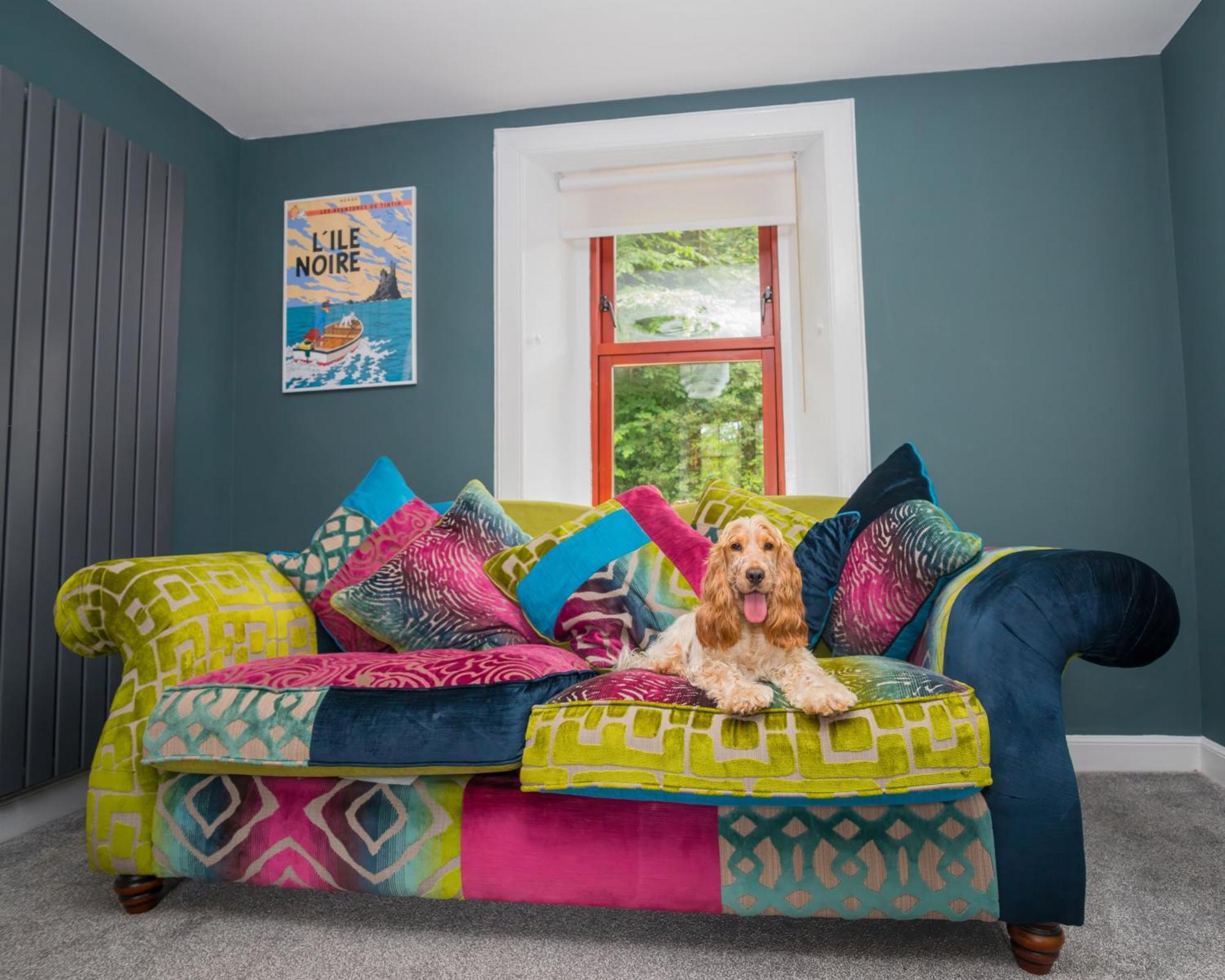 Tig Cottage - A Rural, Quirky, Pet Friendly 2 Bedroom Cottage Near Ballantrae מראה חיצוני תמונה