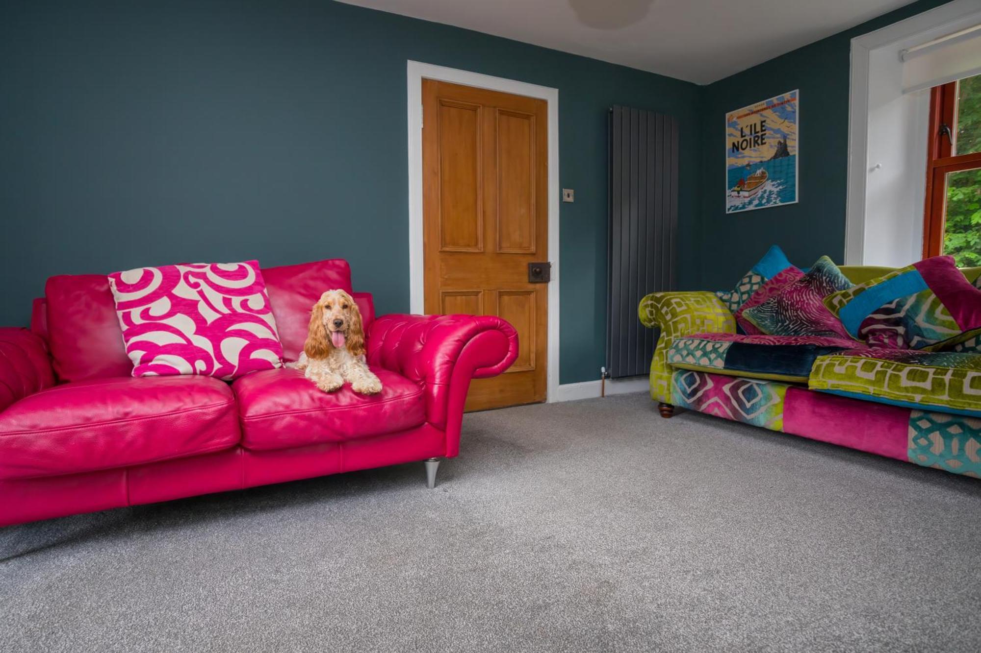 Tig Cottage - A Rural, Quirky, Pet Friendly 2 Bedroom Cottage Near Ballantrae מראה חיצוני תמונה