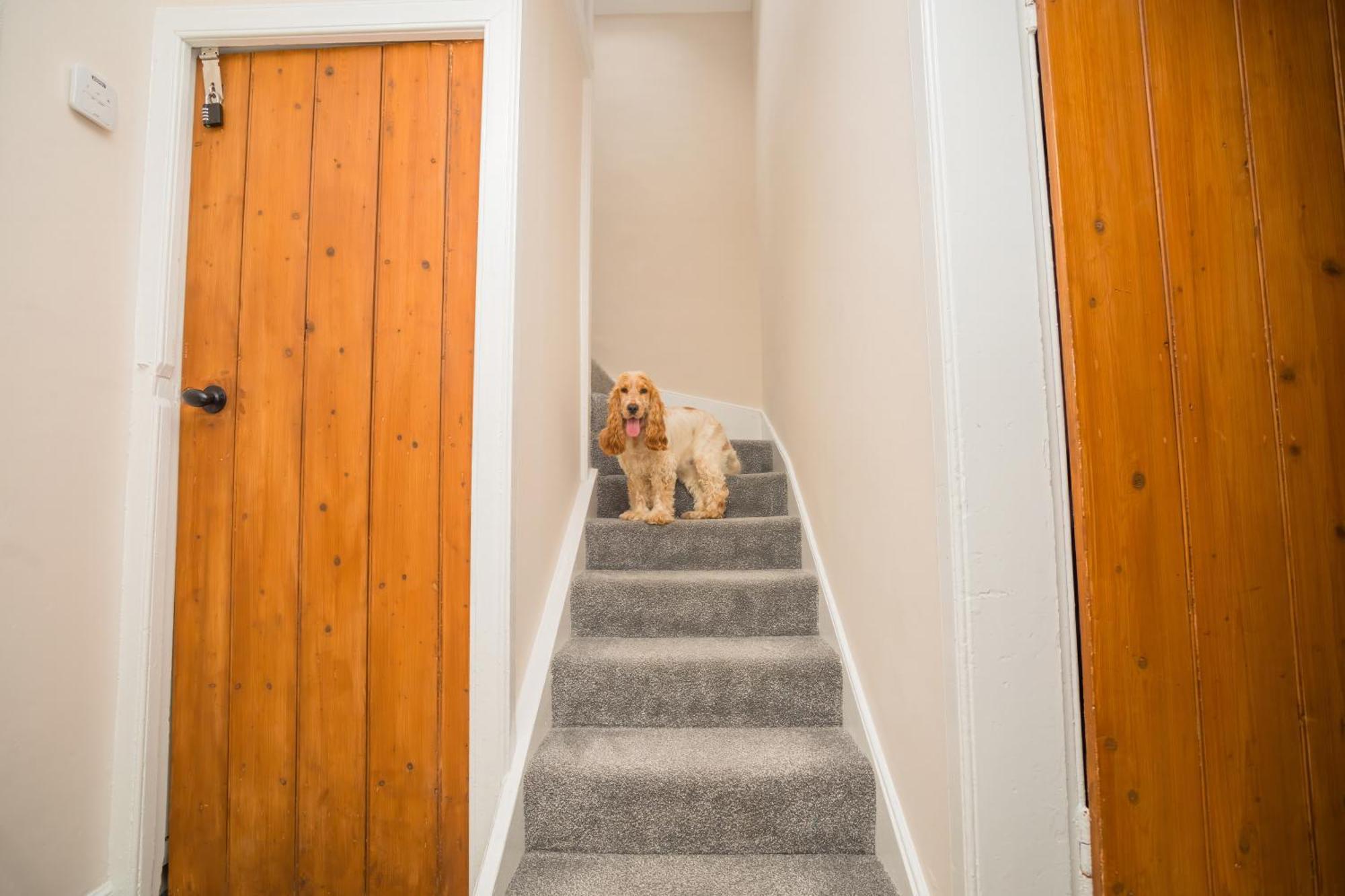Tig Cottage - A Rural, Quirky, Pet Friendly 2 Bedroom Cottage Near Ballantrae מראה חיצוני תמונה