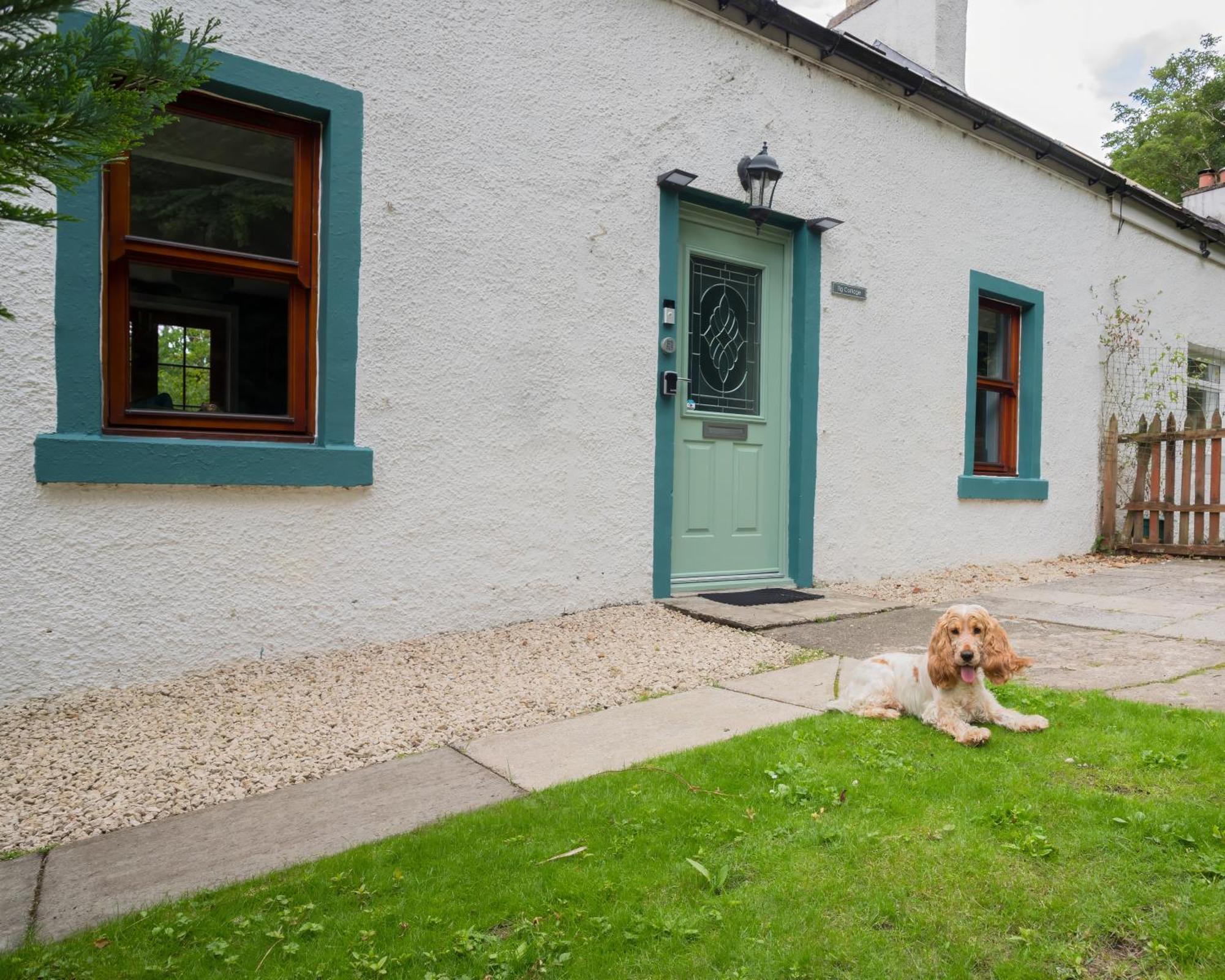 Tig Cottage - A Rural, Quirky, Pet Friendly 2 Bedroom Cottage Near Ballantrae מראה חיצוני תמונה